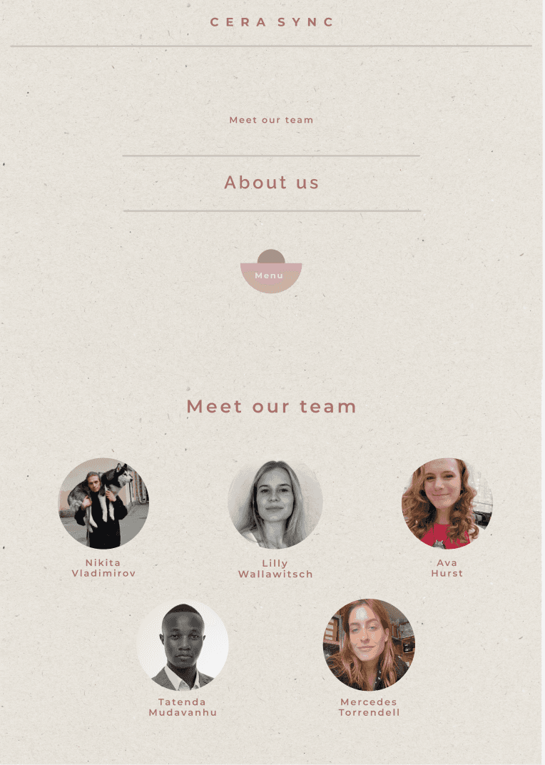 CeraSync web design 5